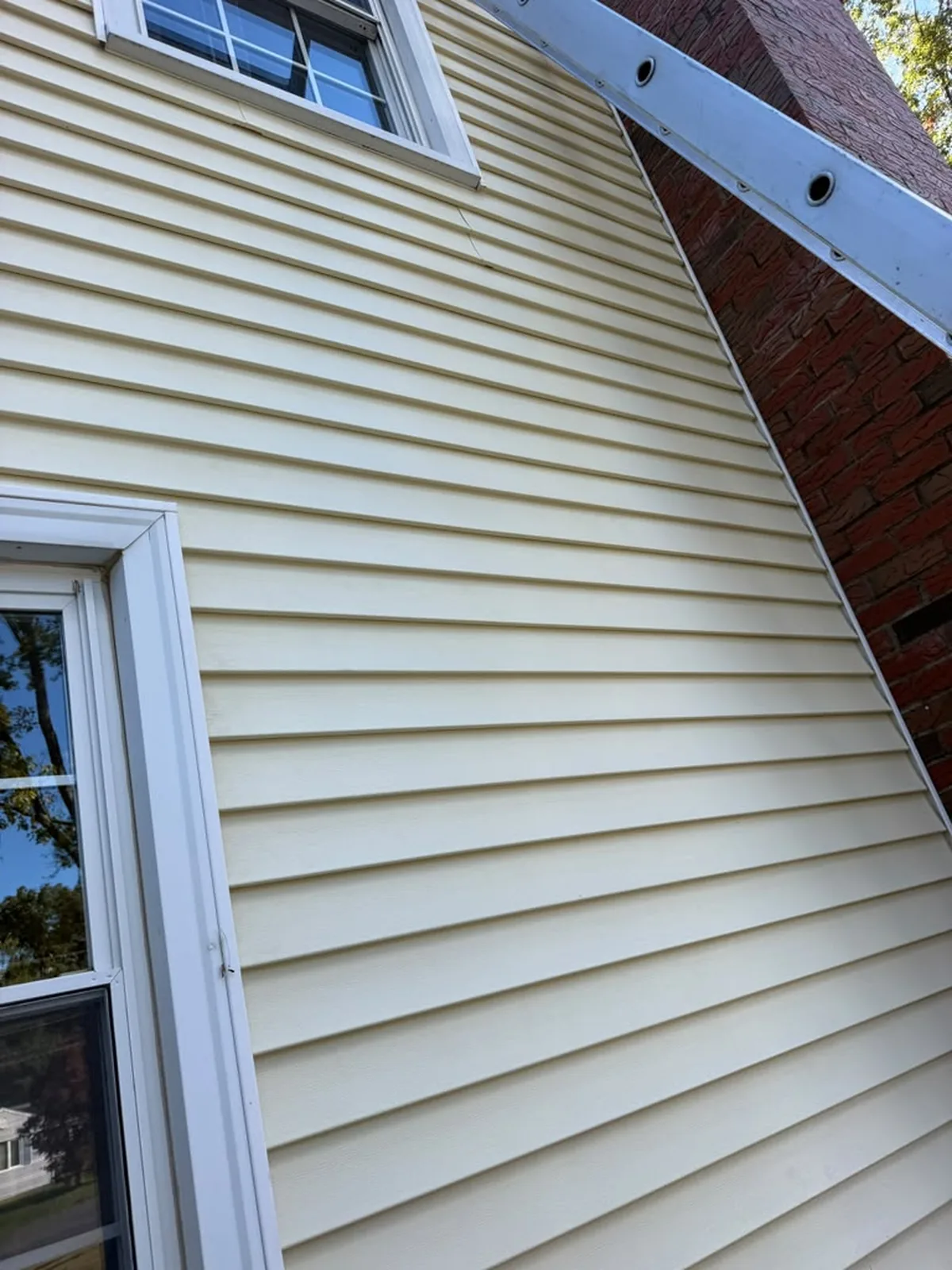Cream vinyl siding wall detail with ladder and trim